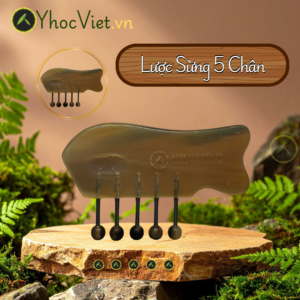 Lược Sừng 5 Chân - Chải Thông Kinh Lạc - Dung Cụ Diện Chẩn