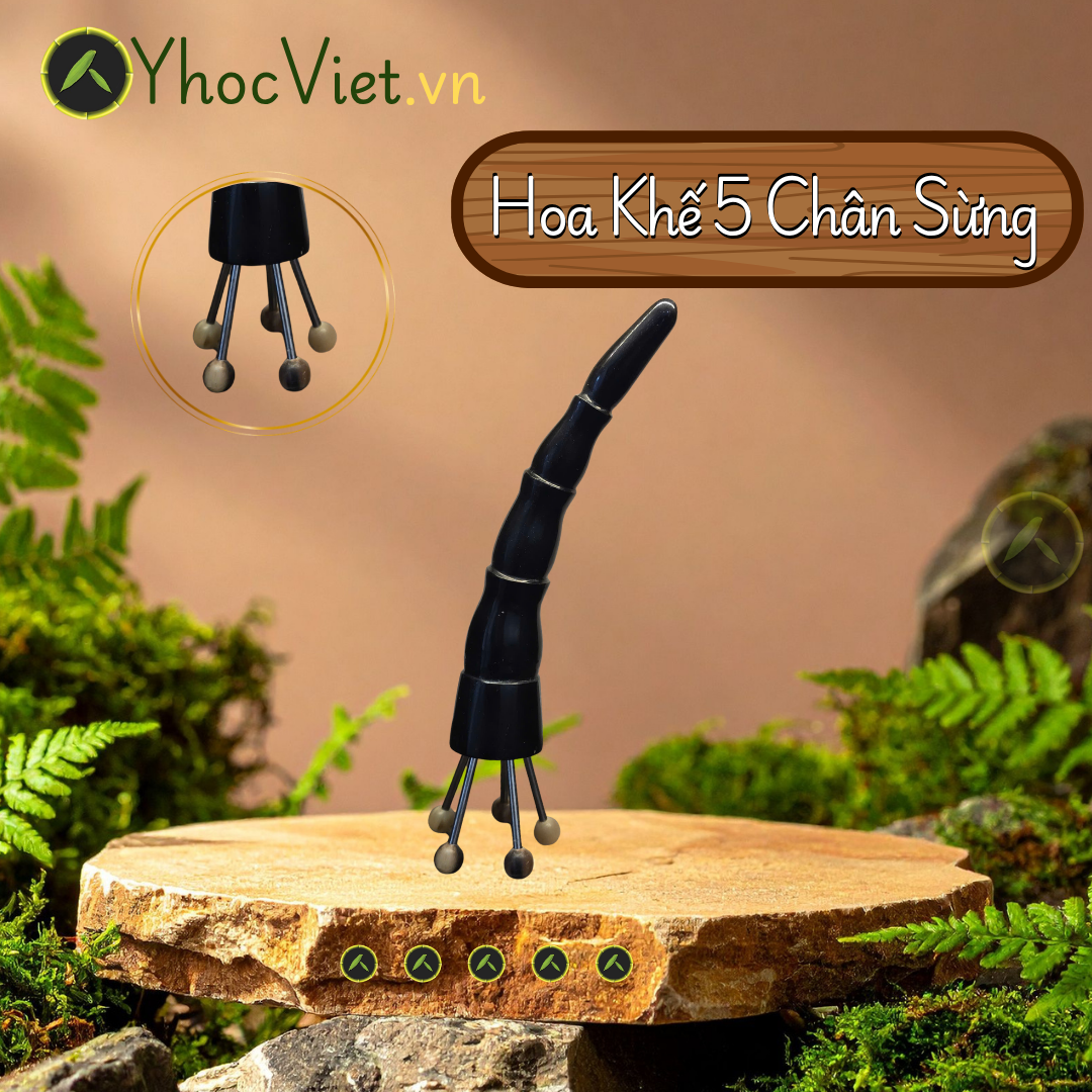 Hoa Khế 5 Chân Sừng – Dụng Cụ Gạch Và Miết Giúp Giãn Cơ, Giảm Đau, Thông Kinh Lạc