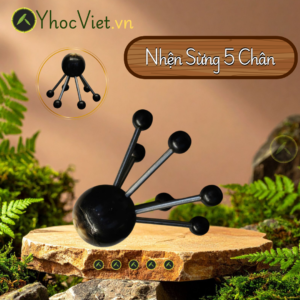 NHỆN SỪNG 5 CHÂN ĐẦU BI TRÒN – CHẢI THÔNG KINH LẠC, LƯU THÔNG KHÍ HUYẾT