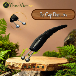 Bọ Cạp Bạc Lớn - Giải Hàn Khí - Lưu Thông Khí Huyết - Giảm Đau Nhức