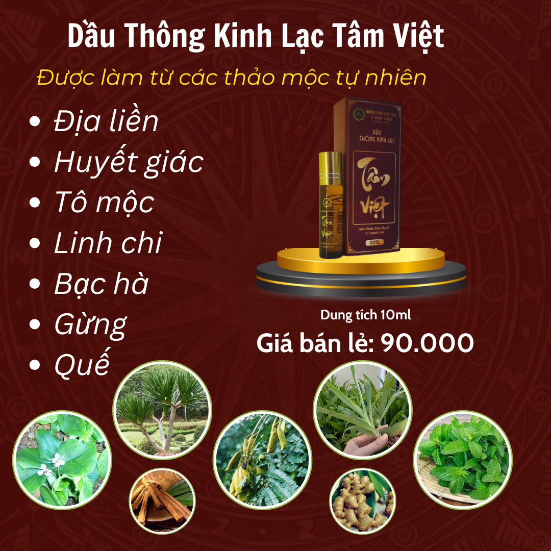 DẦU THÔNG KINH LẠC TÂM VIỆT – DUNG TÍCH 10ML - Ảnh 3