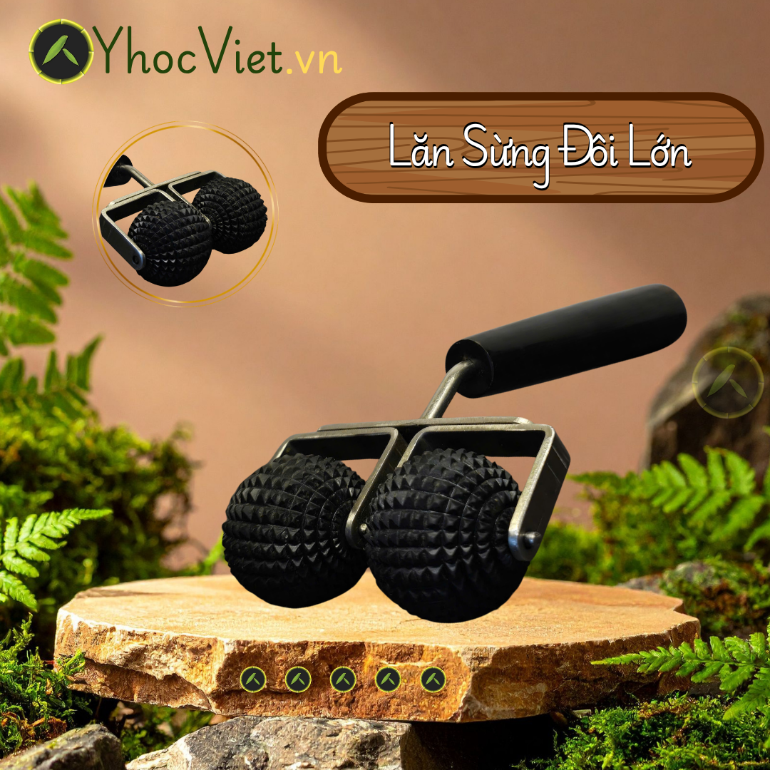 Lăn Sừng Đôi Lớn – khai Thông Điểm Tắc Nghẽn và Bó Cơ Đang Bị Co Cứng